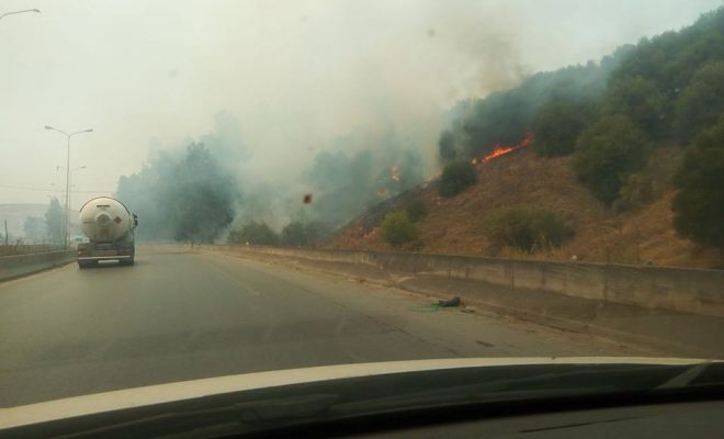 Algérie : des enjeux fonciers derrière les incendies à Béjaïa ?