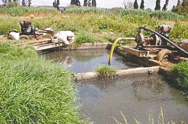 Ils irriguaient leurs vergers avec des eaux usées: Des agriculteurs condamnés à des peines de prison