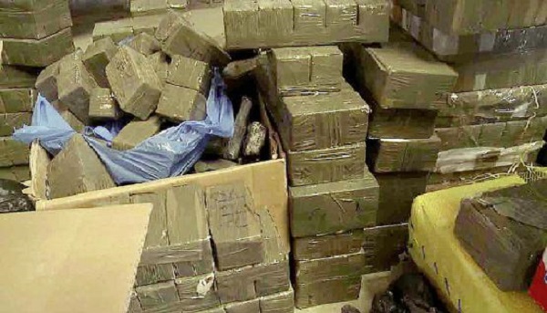 Tlemcen: Saisie de plus d’un quintal de kif traité