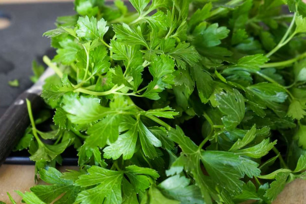 Les bienfaits de la consommation régulière de persil