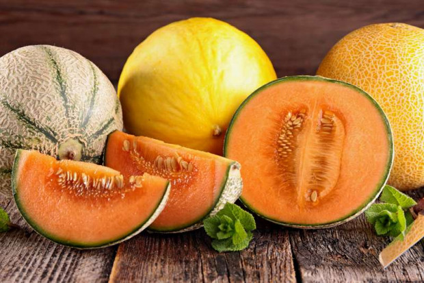 Les propriétés et les bienfaits du melon