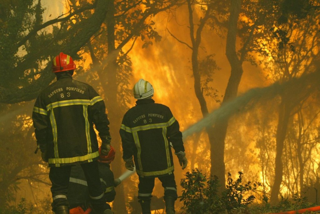 Feux de forêts: Plus de 1.000 ha touchés depuis début juin