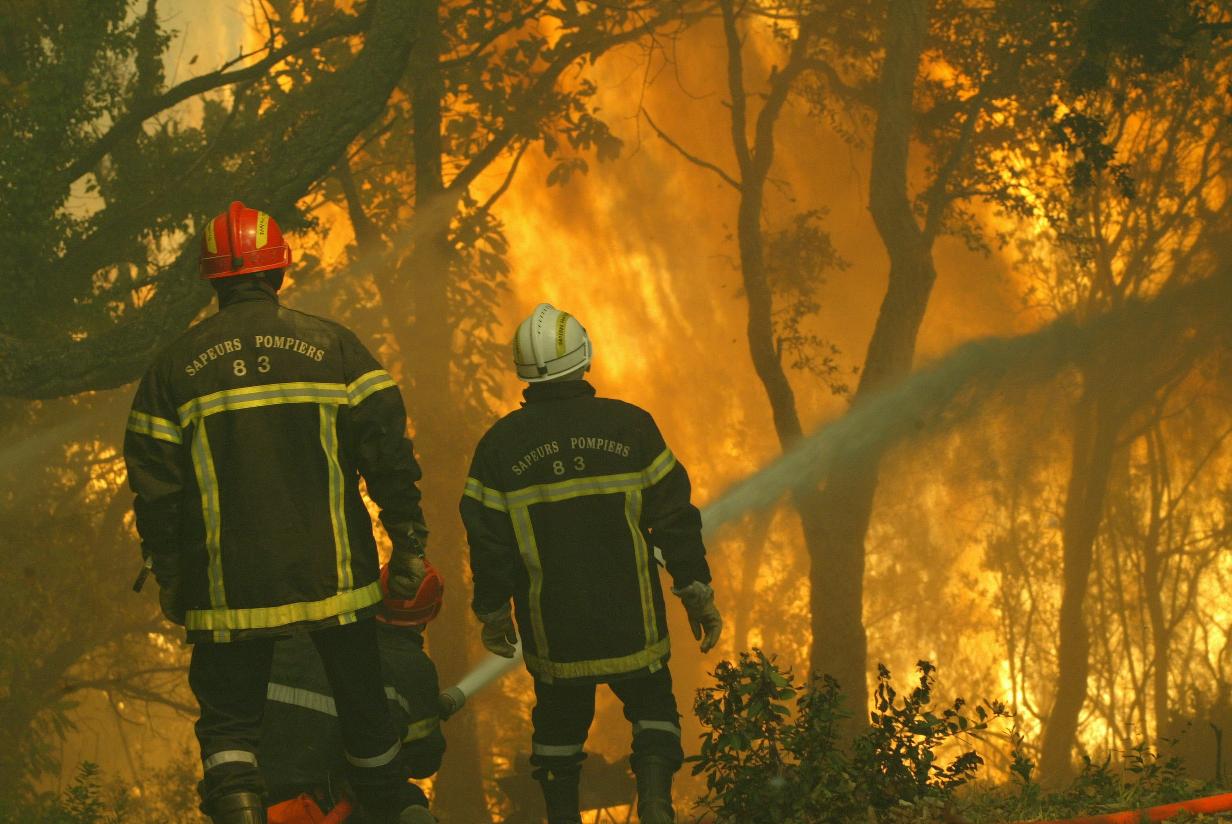 Feux de forêts: Plus de 1.000 ha touchés depuis début juin