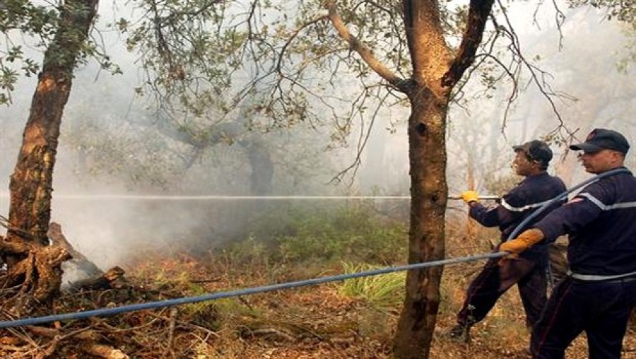 Une commission d’évaluation des dégâts des incendies à pied-oeuvre à Médéa
