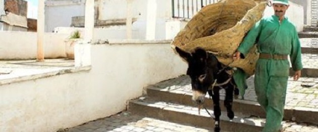 Nettoyage de la Casbah le 25 août prochain