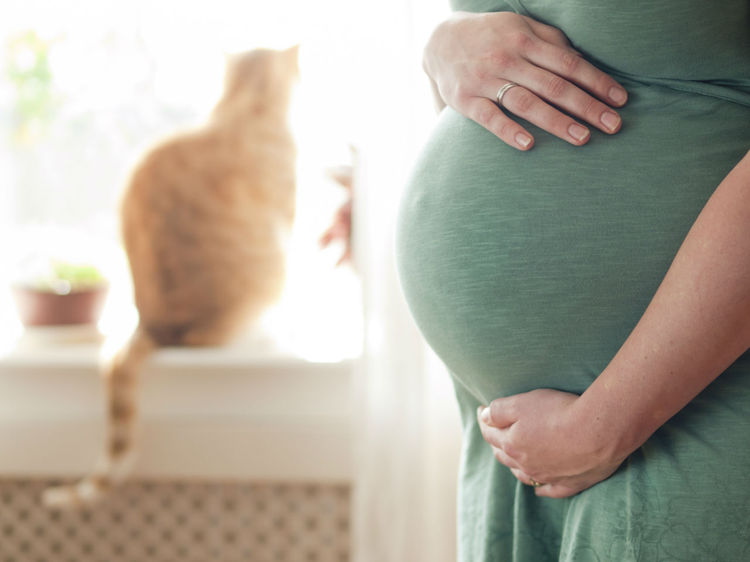 Future maman: Prévenir la toxoplasmose