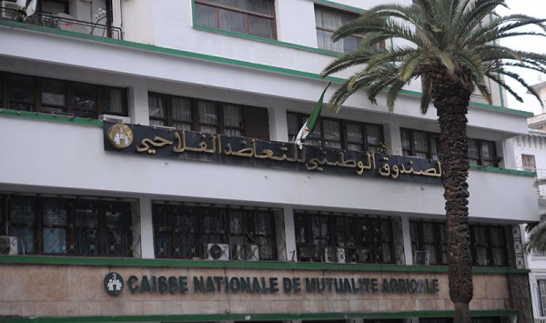 Tlemcen: La CRMA ouvre son guichet d’assurance frontière au port de Ghazaouet