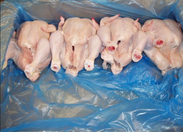 Relizane: Saisie de 19 kg de poulet avarié