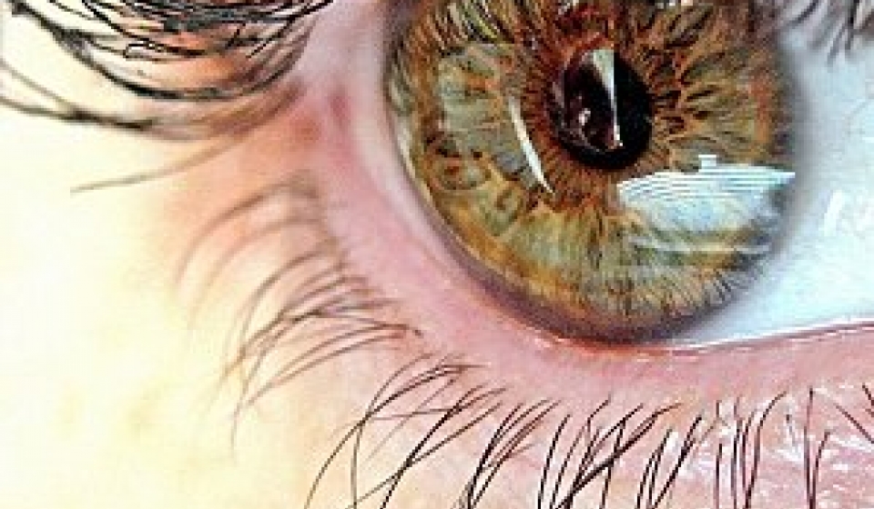 Grâce au don d’un bienfaiteur: Une biomicroscopie de haute technologie pour la clinique d’ophtalmologie de Mostaganem