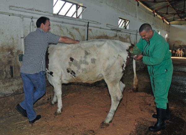 Algérie: 12è édition de l’Espace Vétérinaire Algérien du 18 au 22 septembre prochain à Oran