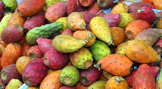 La figue de barbarie Un fruit aux nombreuses vertus