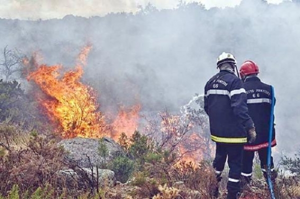 Feux de forêt : Neuf morts et arrestation de 26 pyromanes !