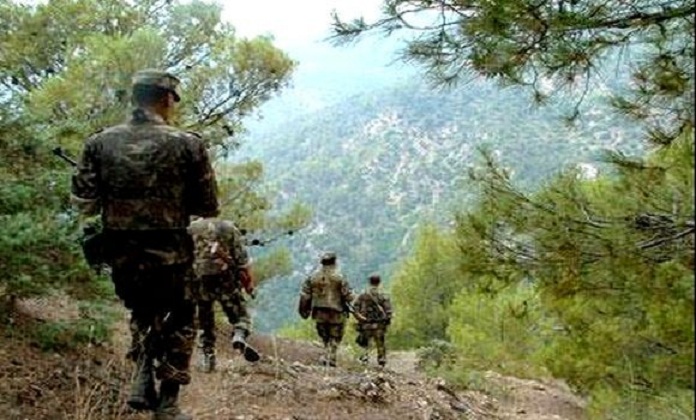 2 caches pour terroristes contenant 34 mines, des substances explosives des munitions découvertes à Médéa (MDN)