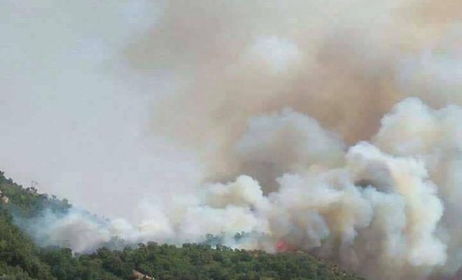 Au moins deux morts dans des incendies à Skikda