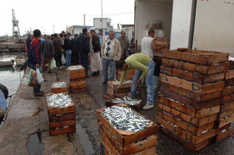 Relizane: Du poisson vendu à l’air libre et sous un soleil de plomb