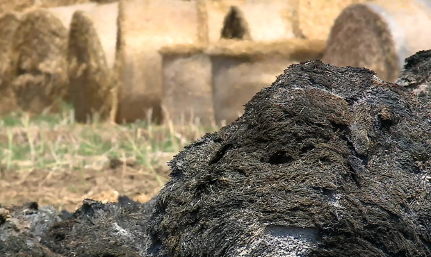 Mascara: 5.000 bottes de foin parties en fumée