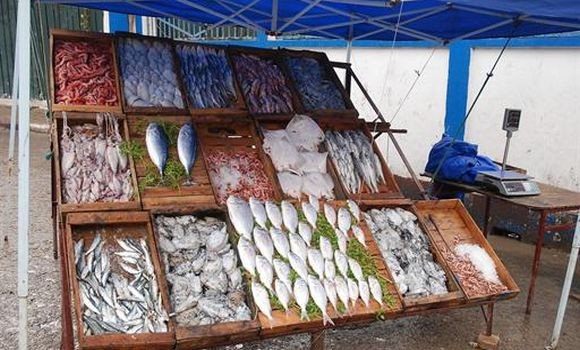 Economie : La baisse des prix du poisson sur le marché sont  due à la surexploitation des ressources halieutiques