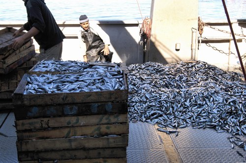 La gastronomie bénisafienne : le poisson