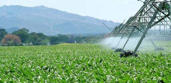 Algérie: Près de 1,3 million hectares de terres agricoles irriguées à ce jour