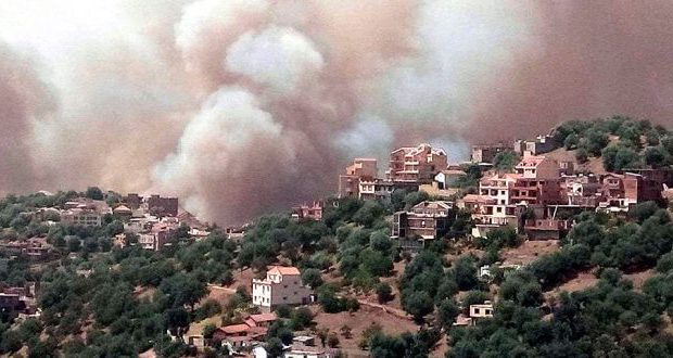 Les flammes dévorent les forêts dans 10 wilayas