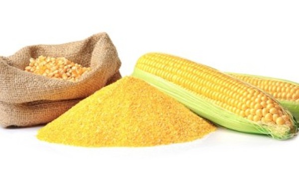 Sidi-Bel-Abbès: Les malades de cœliaque veulent acquérir leur propre moulin