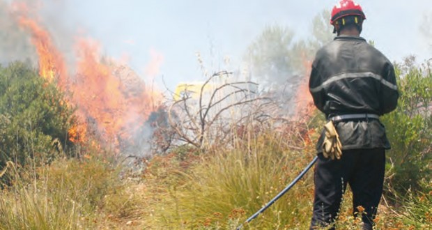 Il s’attelle à l’indemnisation des victimes des incendies pour un retour rapide de l’activité agricole : Le Gouvernement presse le pas