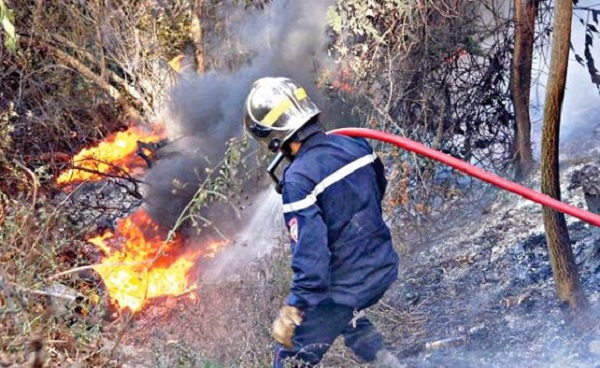 Incendies de forêts : le facteur humain devient la principale cause, selon la DGF