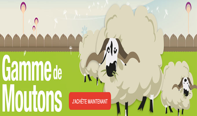 Vente en ligne du mouton de l’Aïd El-Adha : Ce qu’en pensent les Algériens