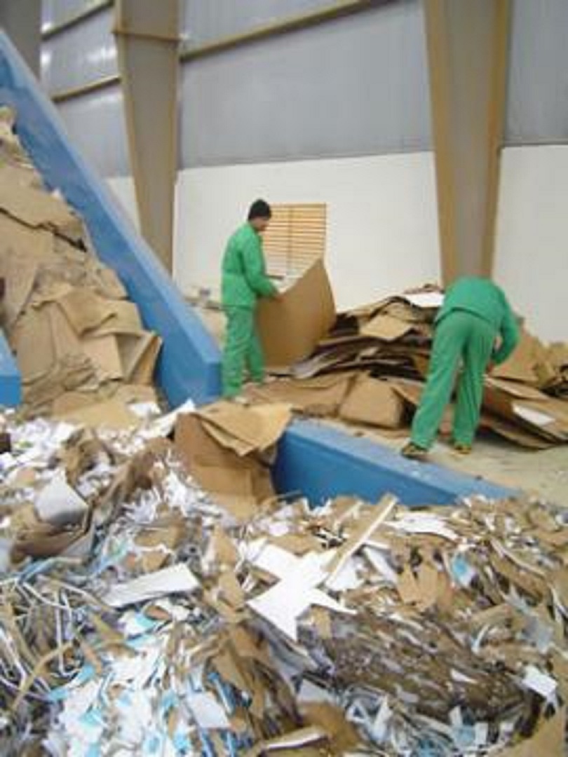 Emploi: 1500 employés tricheurs débusqués à Oran