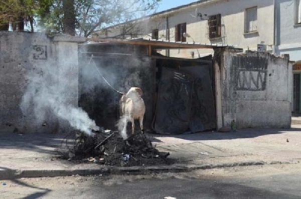 Annaba – Alors que le wali appelle au civisme: Tension extrême au quartier des «Lauriers roses»