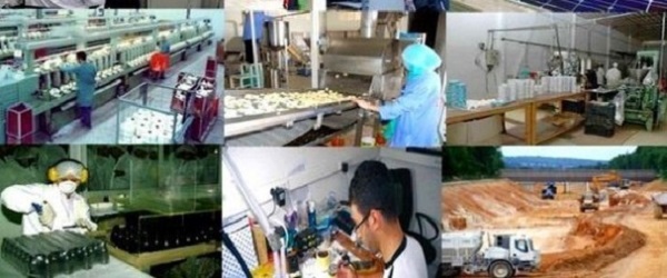 ANSEJ: entrée en activité à Ouargla de 45 micro-entreprises durant le 1er semestre 2017