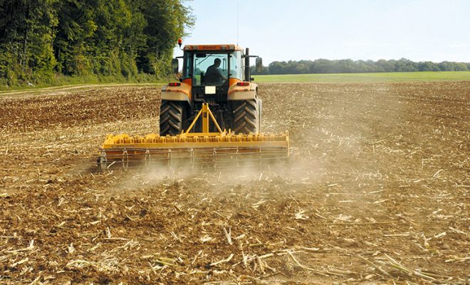 Céréaliculture: Production de près de 1,2 million de quintaux