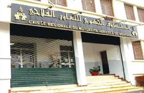 Chlef : plus de 800 contrats d’assurance agricole signés depuis début 2017