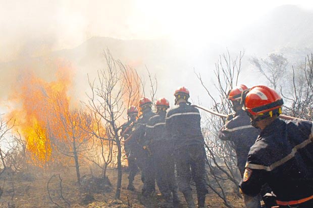 Bilan des incendies à Bouira: Des pertes considérables