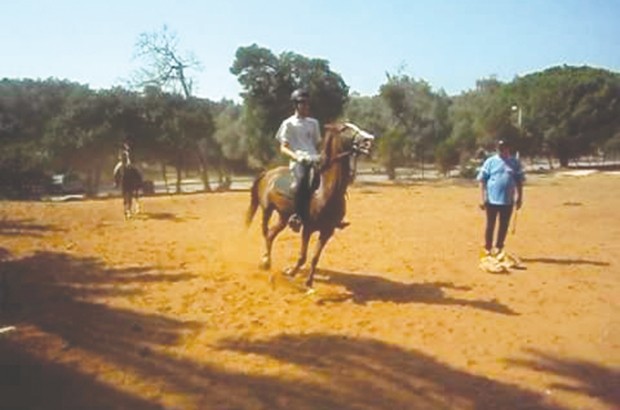Les équidés du Club hippique sous-alimentés: On achève bien les chevaux à Annaba