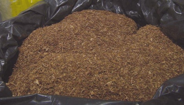 Skikda: Saisie de 67 kilos de tabac à chiquer