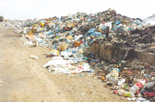Tébessa : Du kif dans une décharge publique