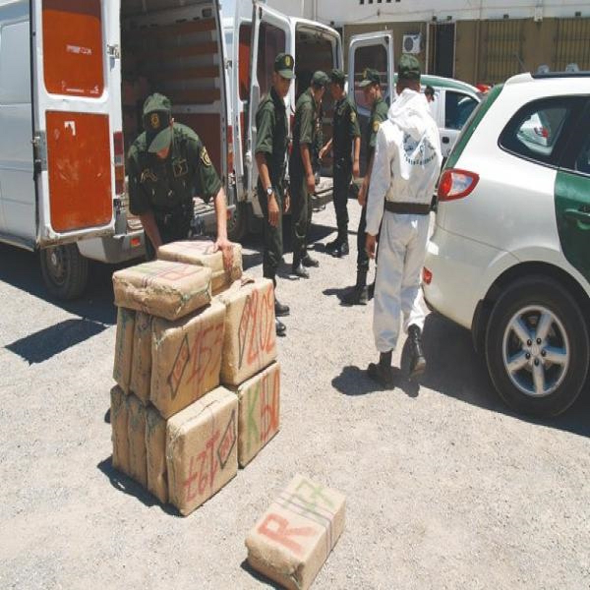 Tébessa: Saisie de 6.000 cartouches de cigarettes