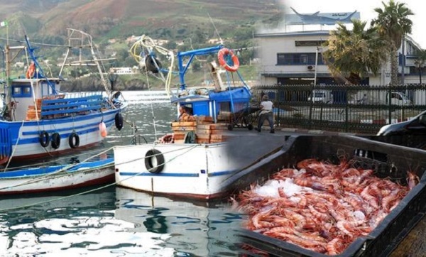 Algérie-UE: Acquisition d’un Data center pour les statistiques de pêche