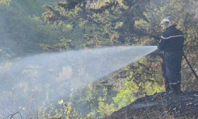 Sonelgaz: des réseaux électriques gravement endommagés par les feux de forêts