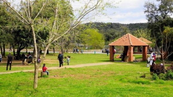 Les forêts, unique alternative des familles djelfies aux joies du littoral