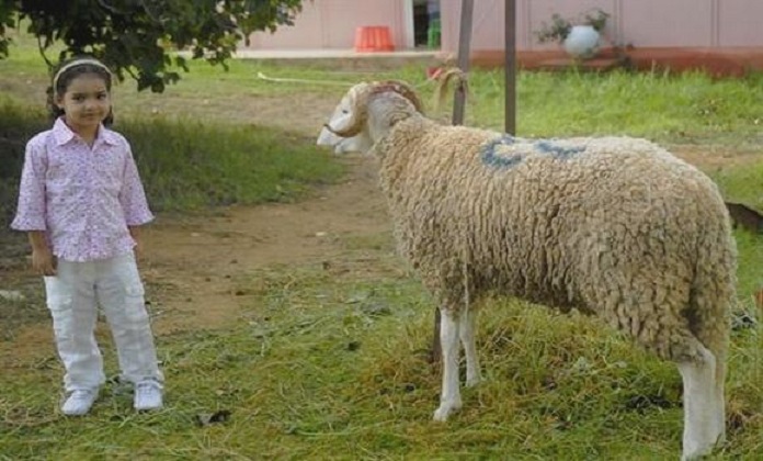 Renforcement du dispositif sécuritaire en prévision de l’Aid El Adha