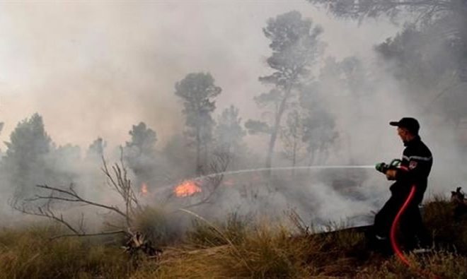 Forêts: 697 hectares parcourus par les feux en une semaine (DGF)