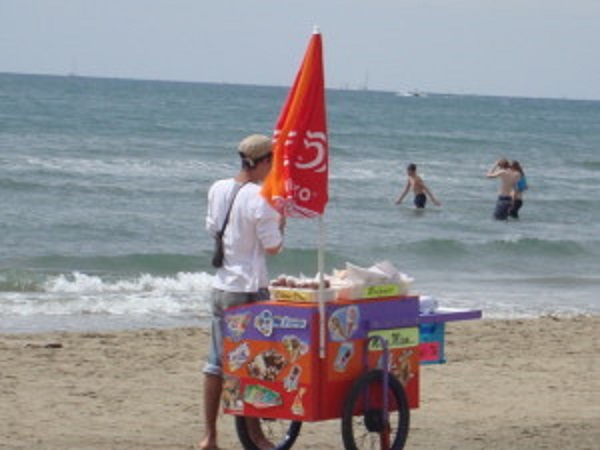 La saison estivale : Pour des étudiants, une période propice aux petits boulots