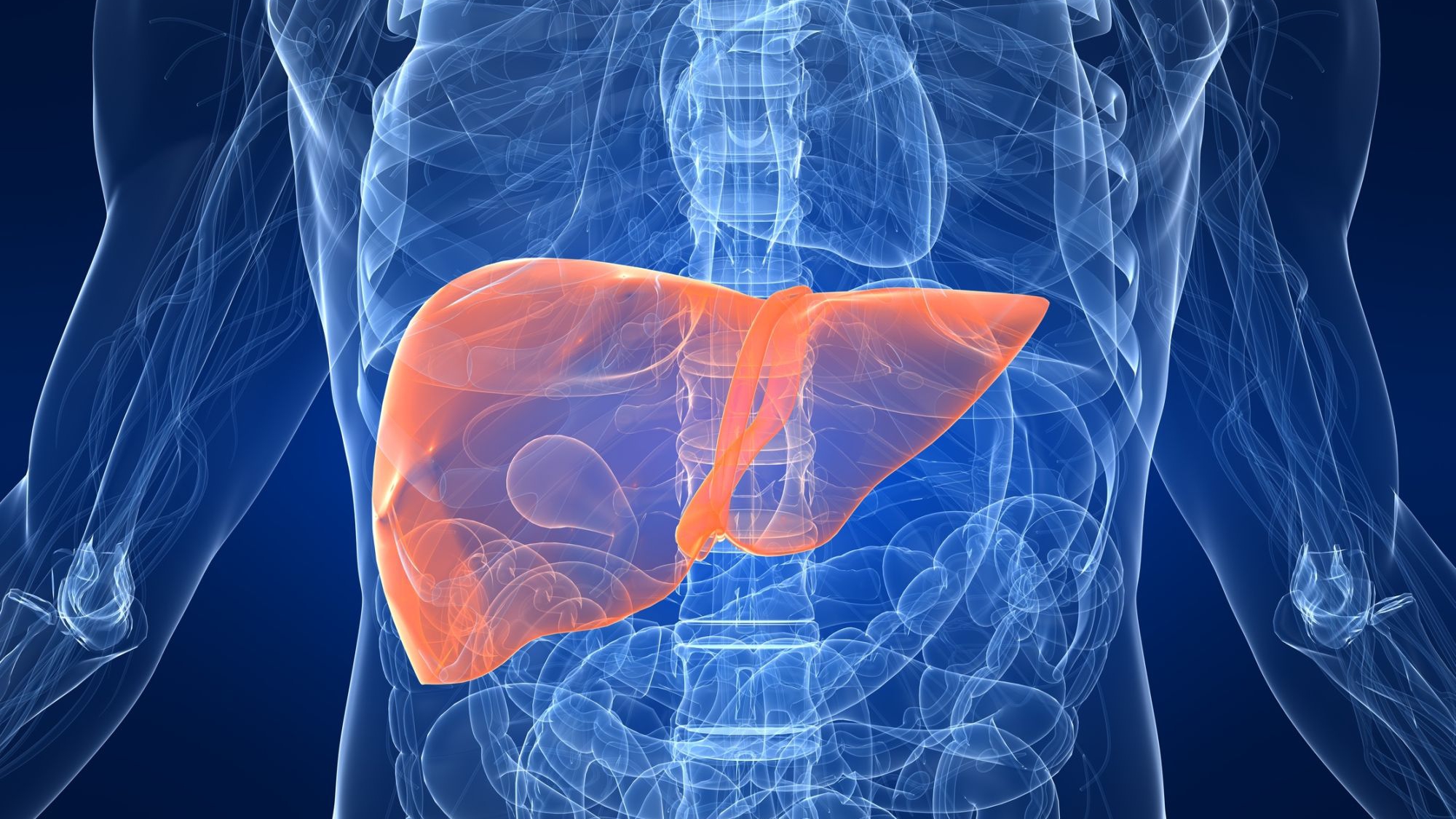 El Oued: Plus de 100 cas d&rsquo;hépatite virale B dépistés