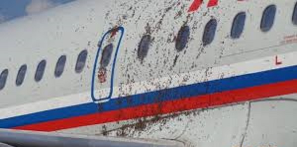 Inde : un essaim d’abeilles attaque un avion