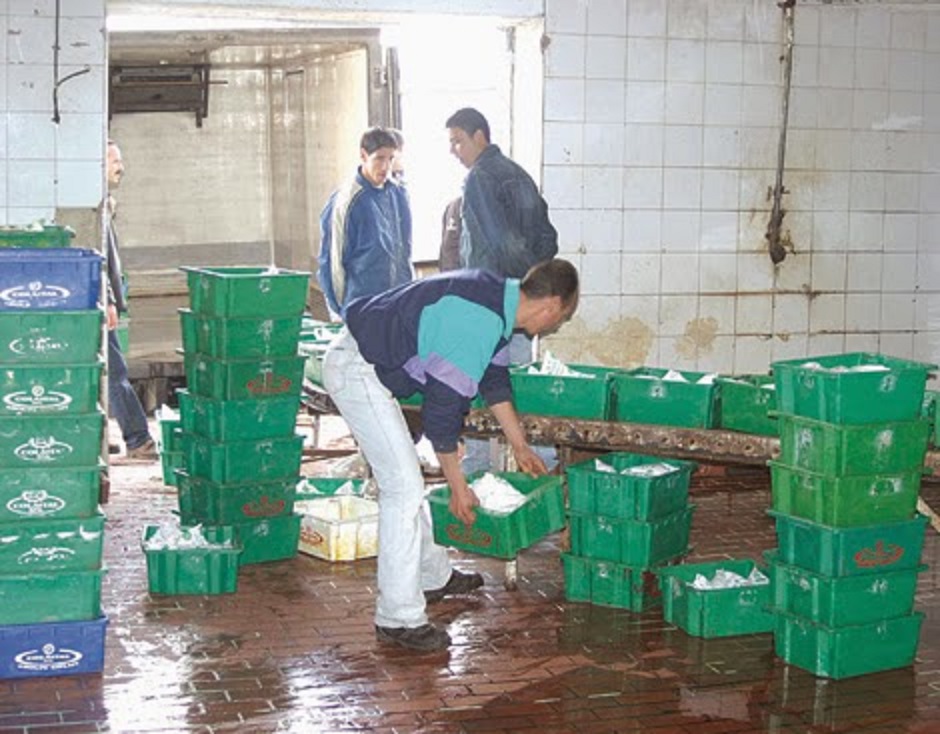 Production du lait: un manque flagrant d’hygiène