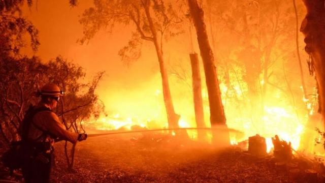 Des milliers d’évacuations en raison de feux de forêt dans l’Etat du Montana