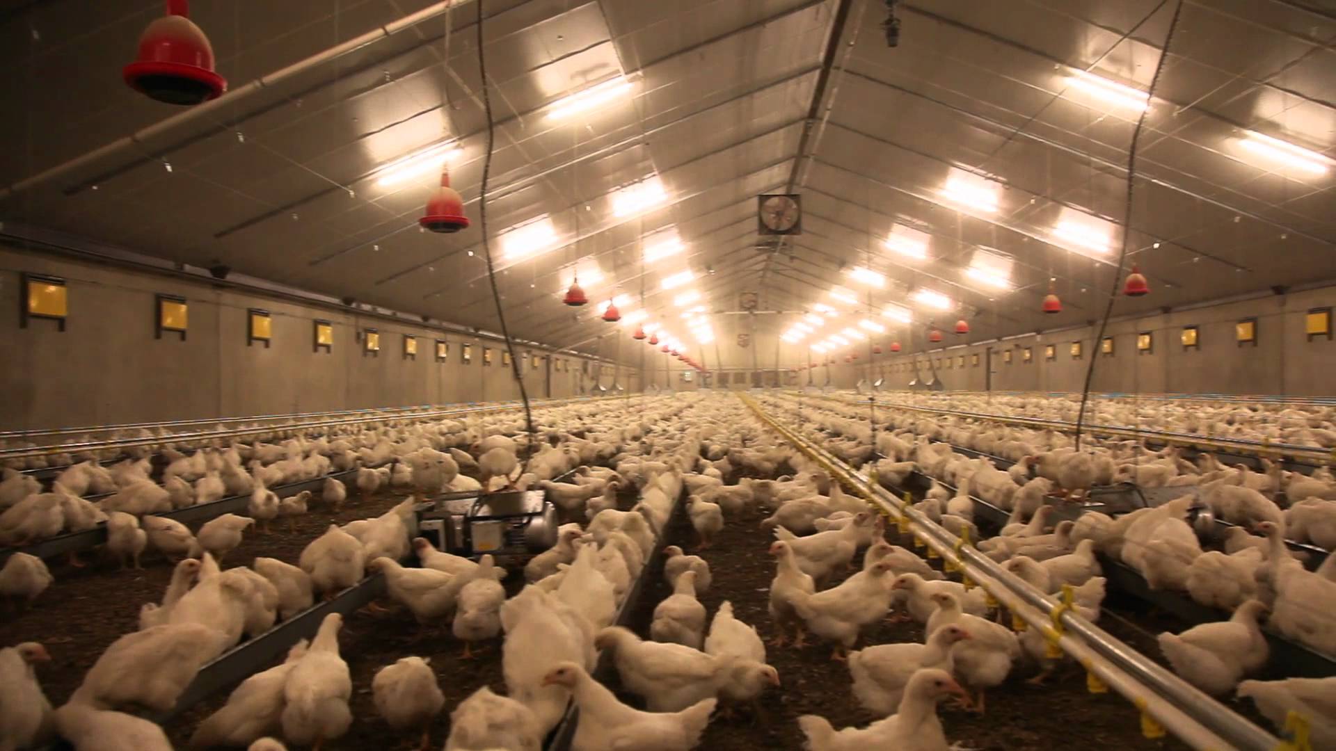 Constantine – Un jeune homme meurt électrocuté