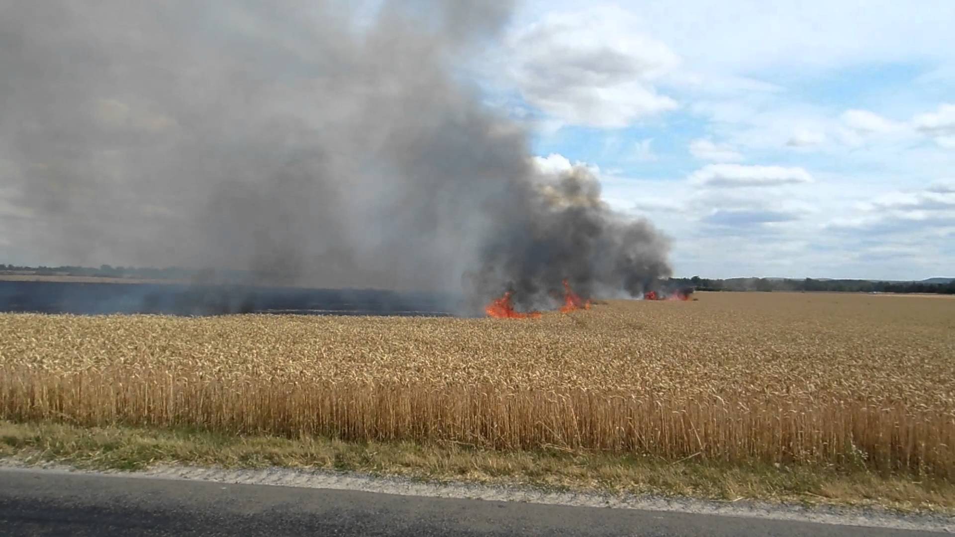 Bouazghi : La production agricole ravagée par les incendies sera indemnisée